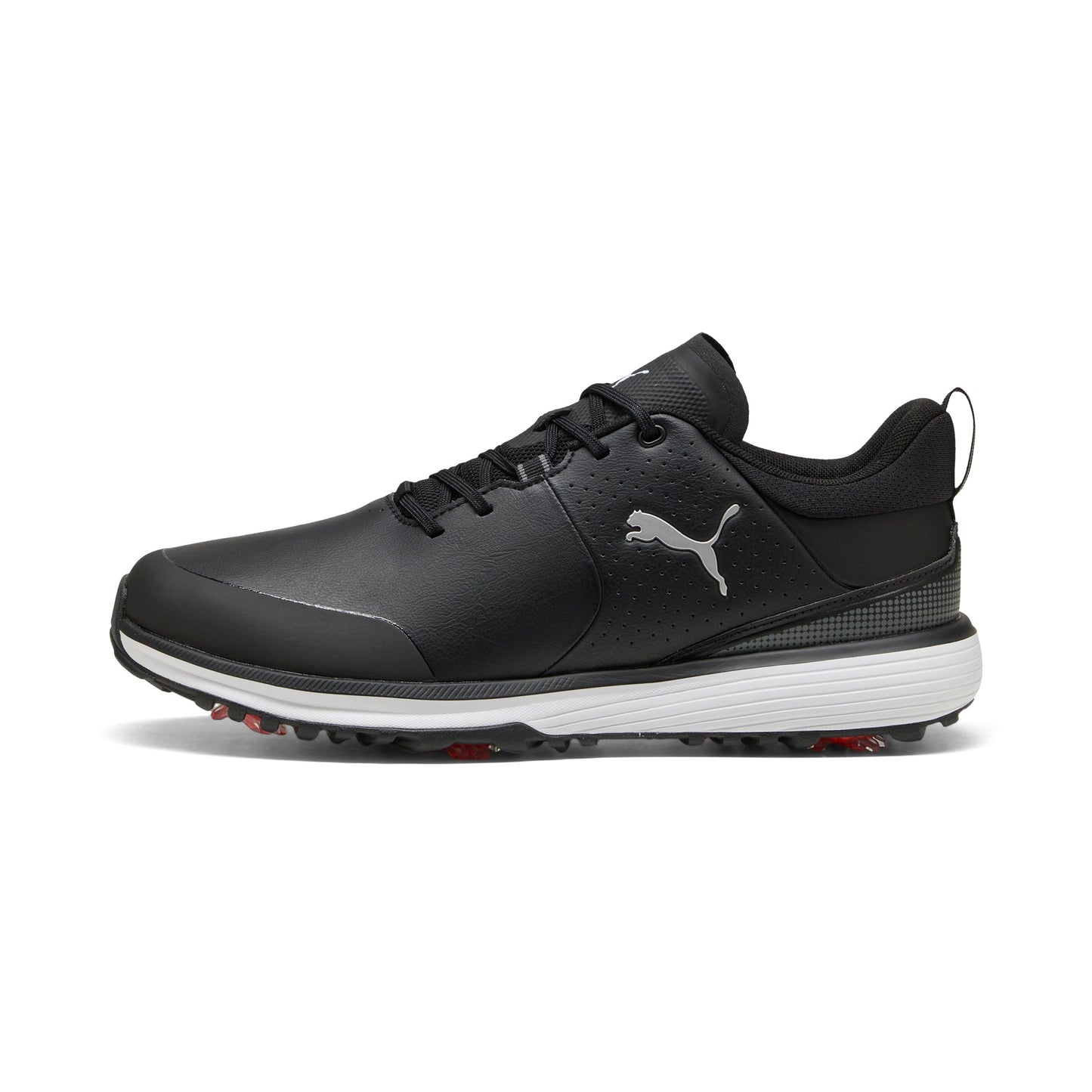 Puma White / Puma Silver / Ash Gray,7