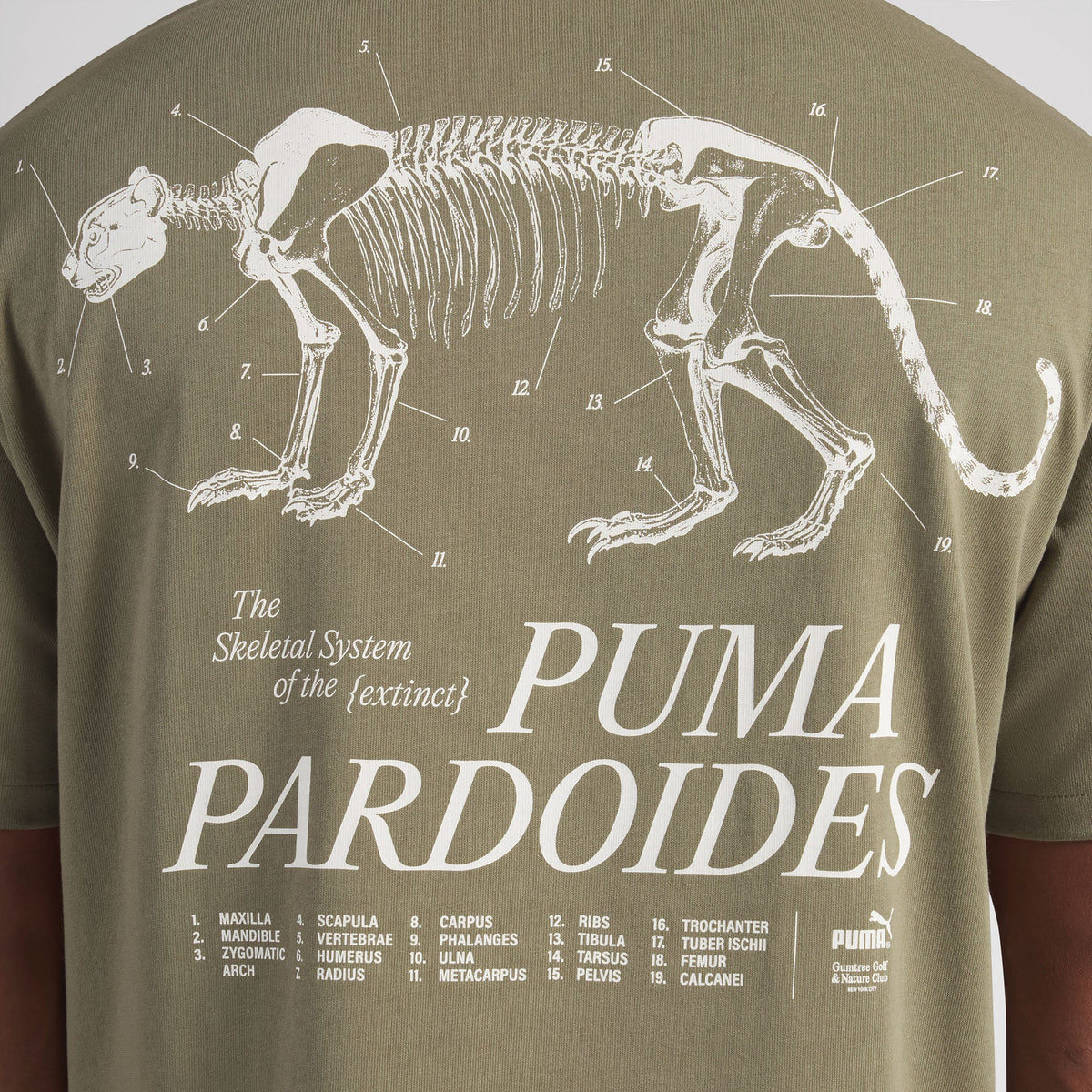 Gumtree Golf & Nature Club Pardoides Performance Tee - Puma Golf Great Value